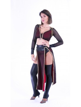Costume Top + Skirt + Lycra Stockings